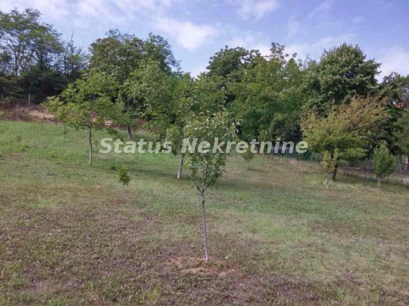 Plac Prodaja Novi Sad  0 m2