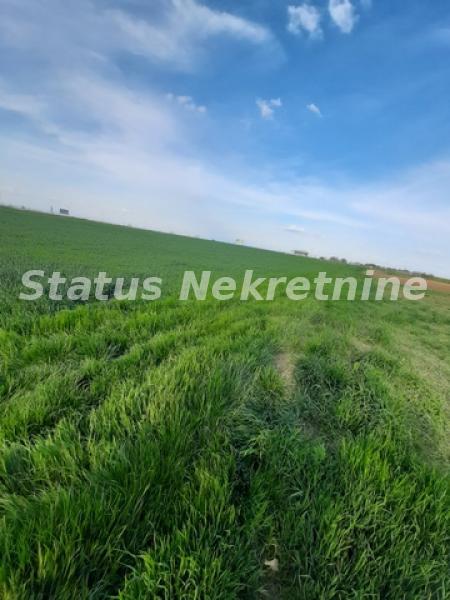 Plac Prodaja Novi Sad Plac Prodaja Novi Sad 0 m2