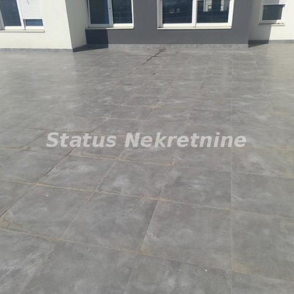 Lokal Izdavanje Novi Sad  333 m2
