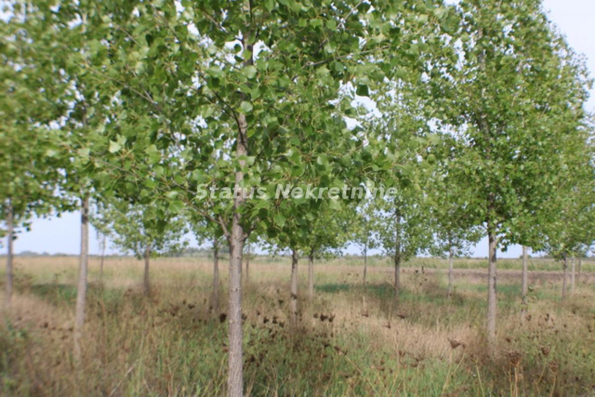 Plac Prodaja Zrenjanin  0 m2