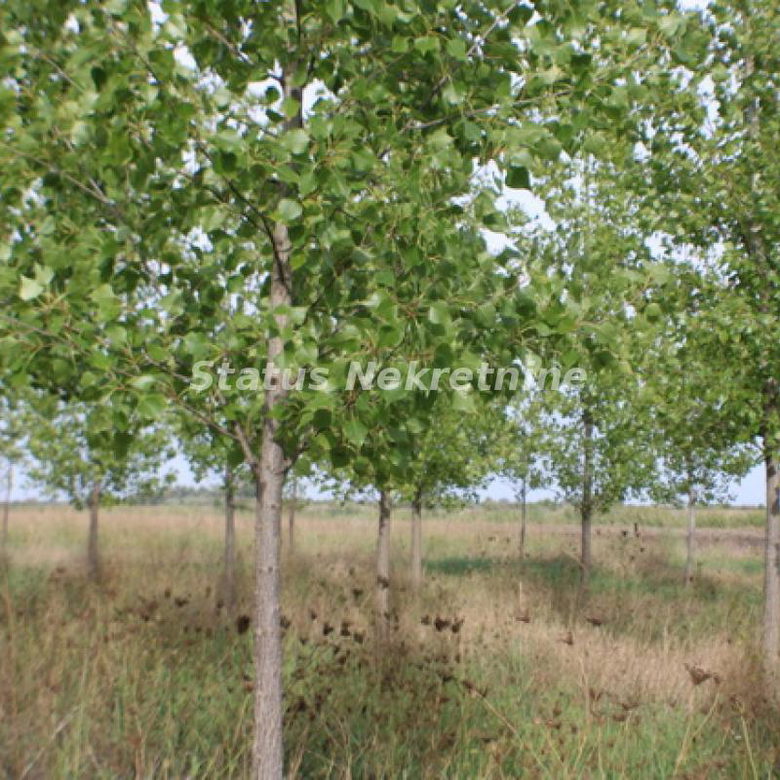 Plac Prodaja Zrenjanin  0 m2