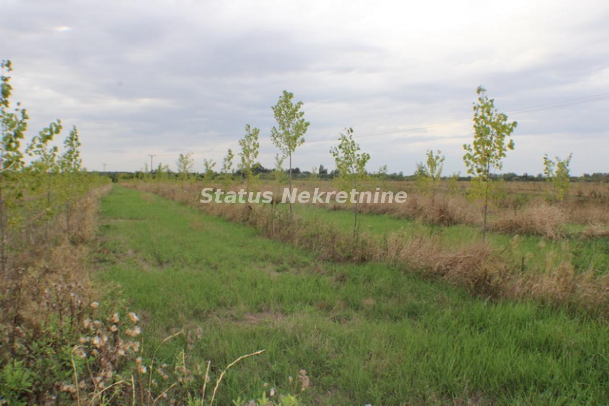 Plac Prodaja Zrenjanin  0 m2