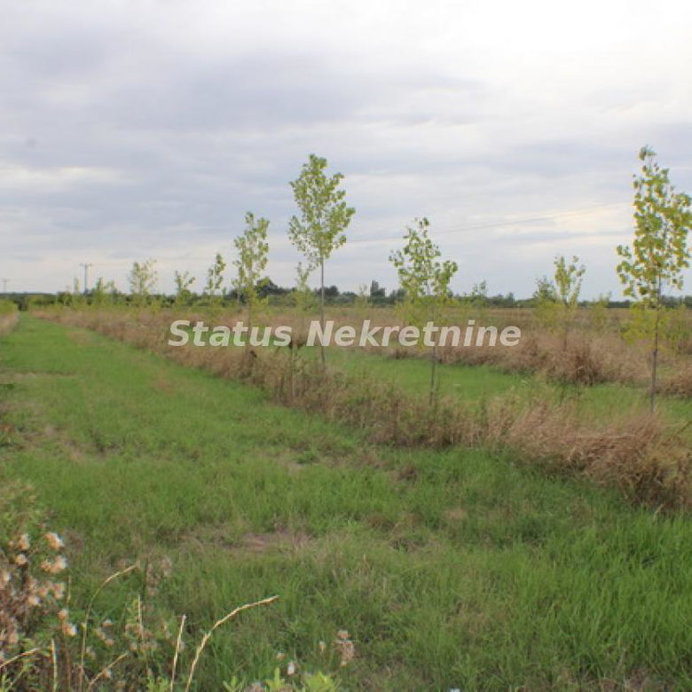 Plac Prodaja Zrenjanin  0 m2