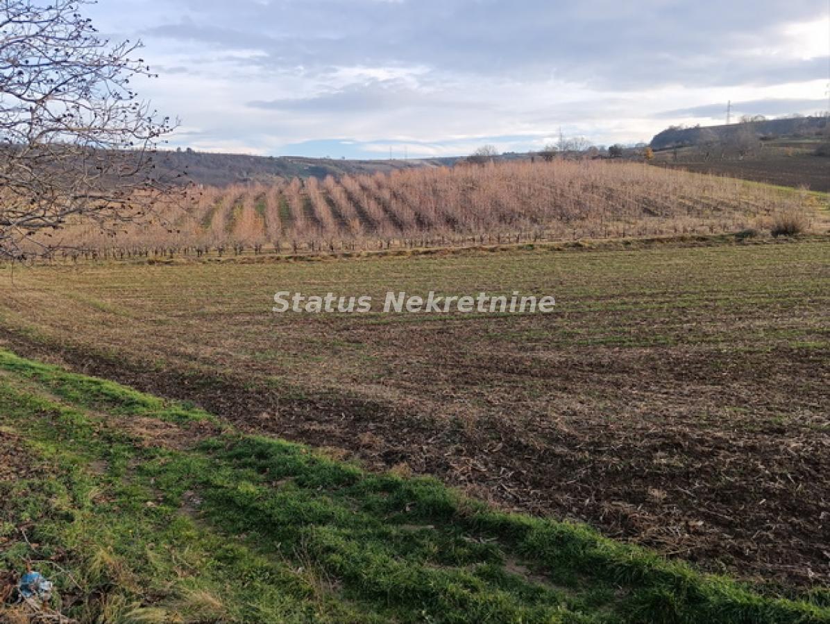 Plac Prodaja Sremski Karlovci  0 m2