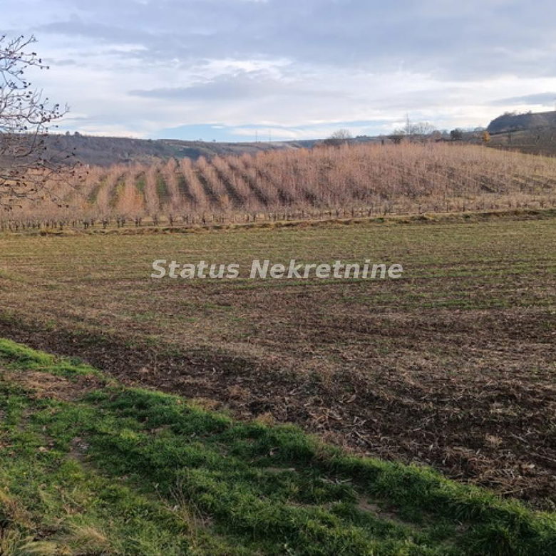 Plac Prodaja Sremski Karlovci  0 m2