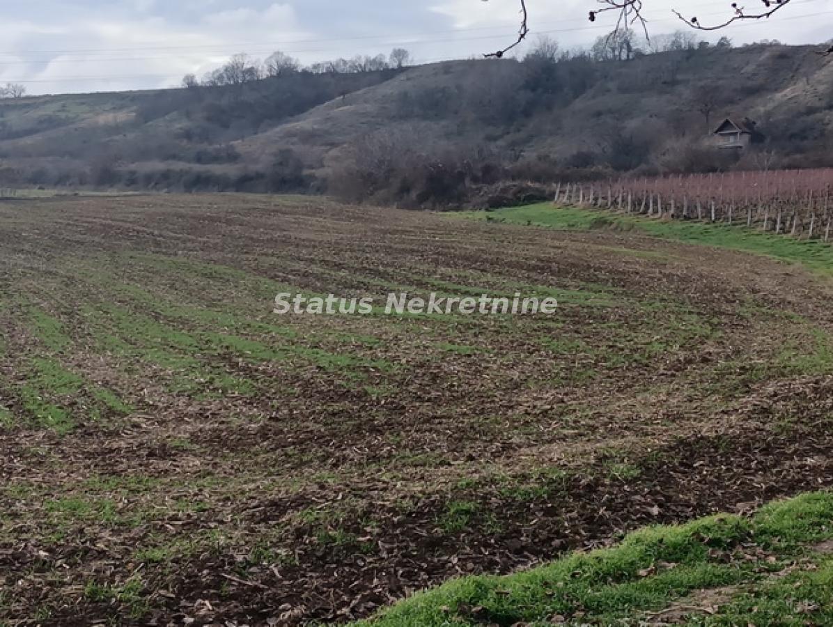 Plac Prodaja Sremski Karlovci  0 m2