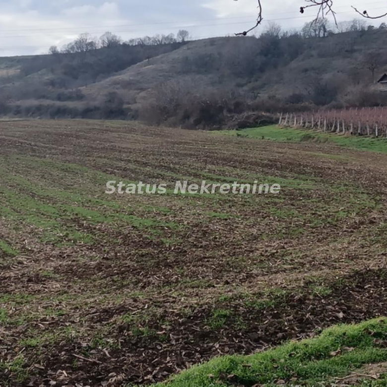 Plac Prodaja Sremski Karlovci  0 m2