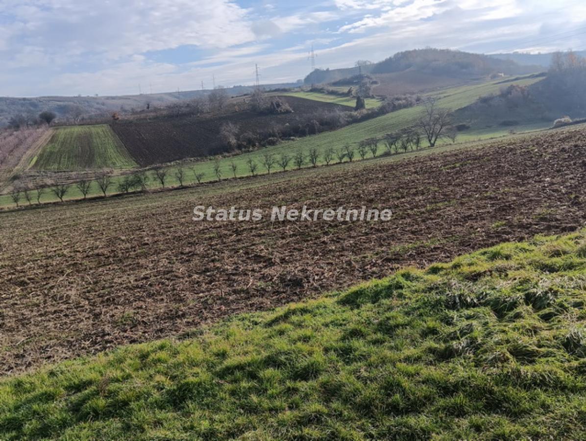 Plac Prodaja Sremski Karlovci  0 m2