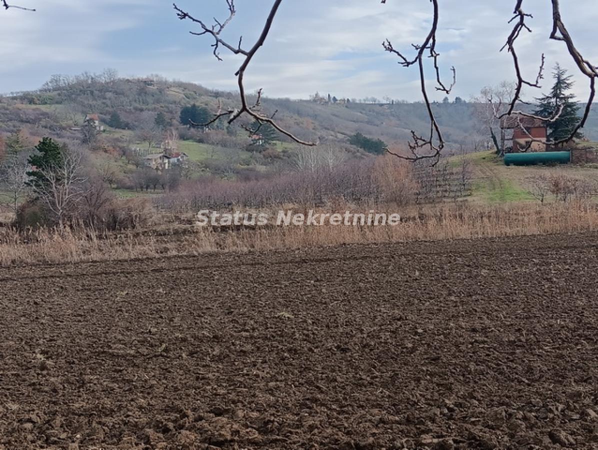 Plac Prodaja Sremski Karlovci  0 m2