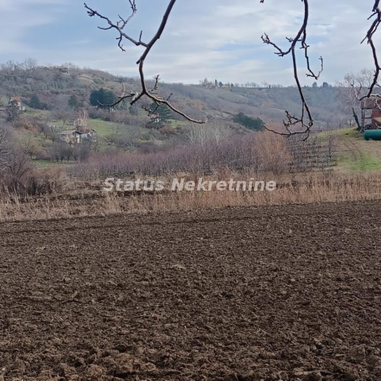 Plac Prodaja Sremski Karlovci  0 m2