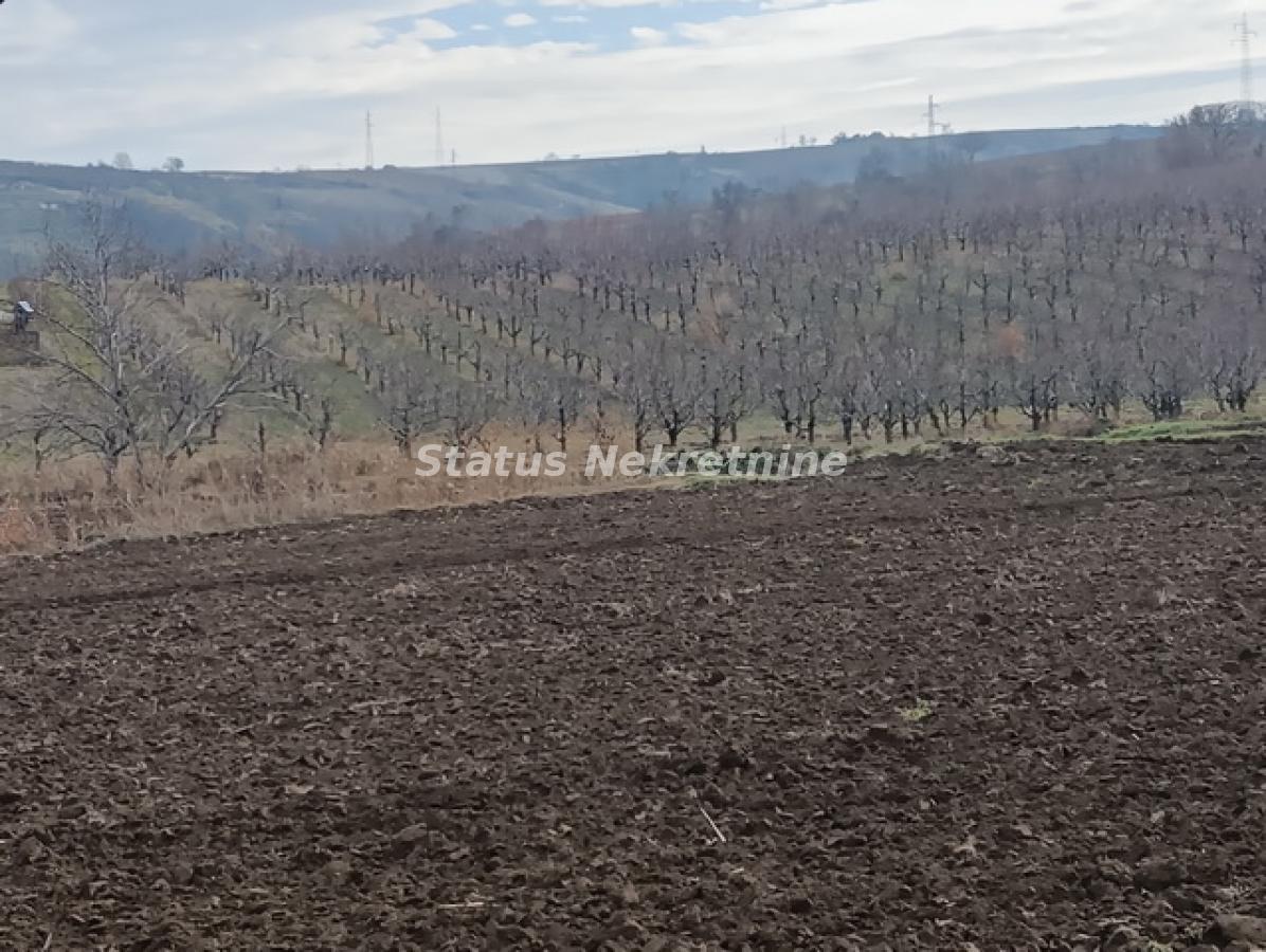 Plac Prodaja Sremski Karlovci  0 m2