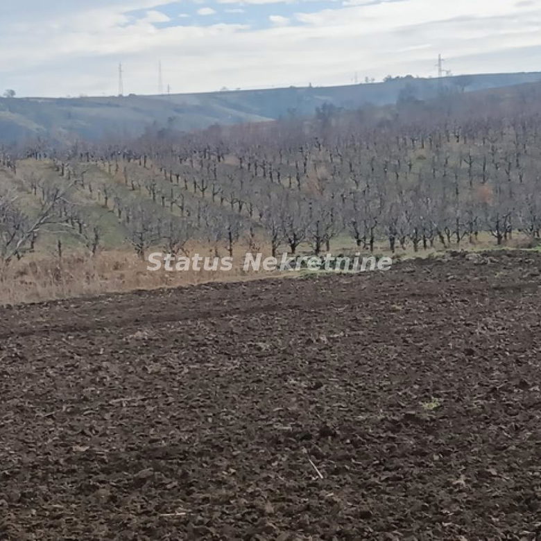 Plac Prodaja Sremski Karlovci  0 m2
