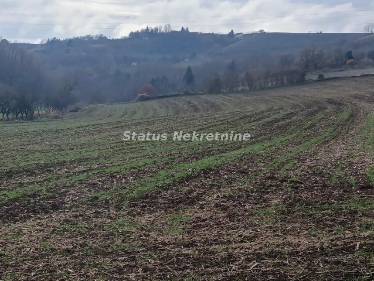 Plac Prodaja Sremski Karlovci  0 m2