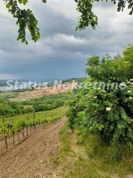 Plac Prodaja Sremski Karlovci Plac Prodaja Sremski Karlovci 0 m2