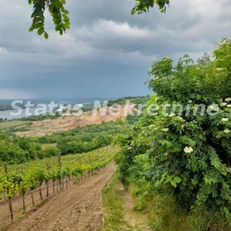 Plac Prodaja Sremski Karlovci  0 m2