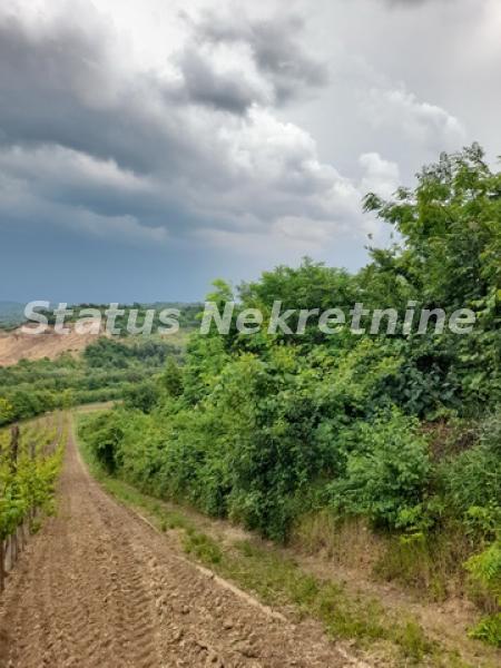 Plac Prodaja Sremski Karlovci Plac Prodaja Sremski Karlovci 0 m2