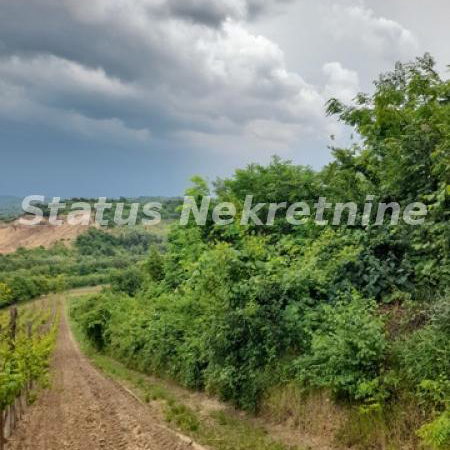 Plac Prodaja Sremski Karlovci  0 m2