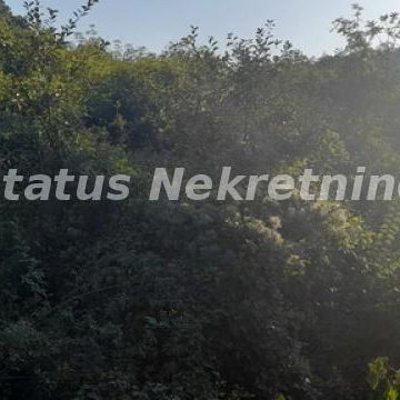 Plac Prodaja Inđija  0 m2