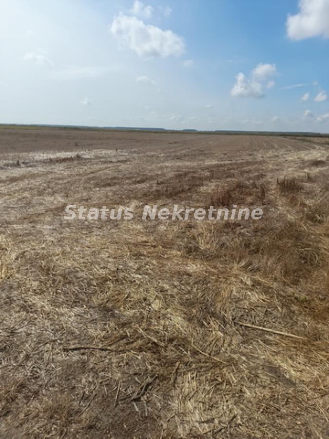 Plac Prodaja Sremska Mitrovica Plac Prodaja Sremska Mitrovica 0 m2