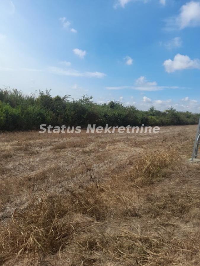 Plac Prodaja Sremska Mitrovica Plac Prodaja Sremska Mitrovica 0 m2
