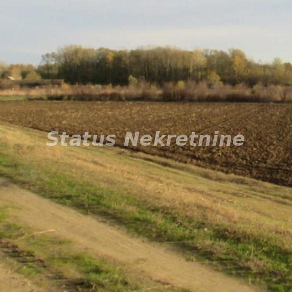 Plac Prodaja Sremska Mitrovica  0 m2