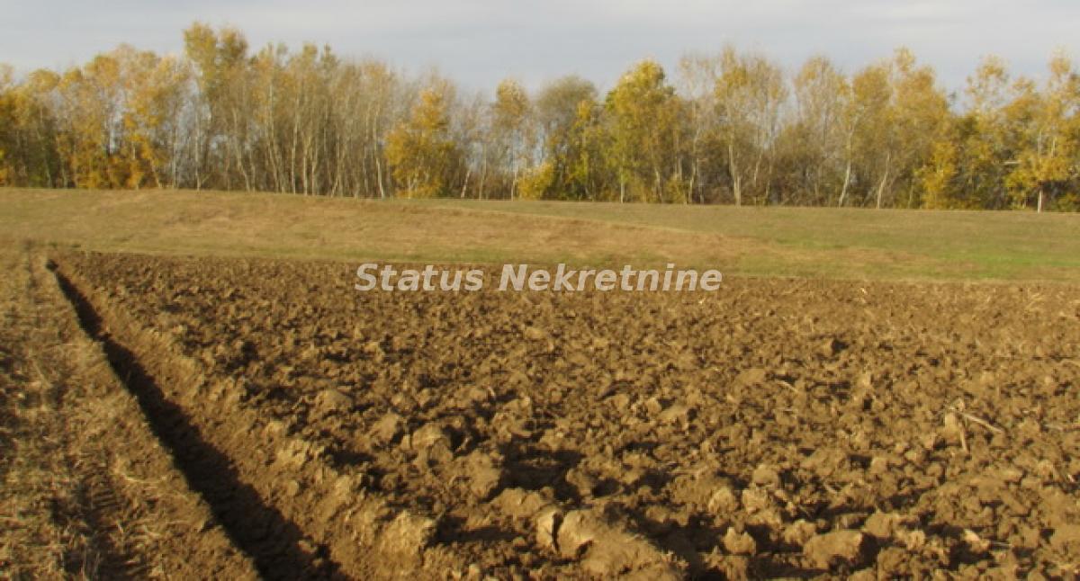Plac Prodaja Sremska Mitrovica  0 m2