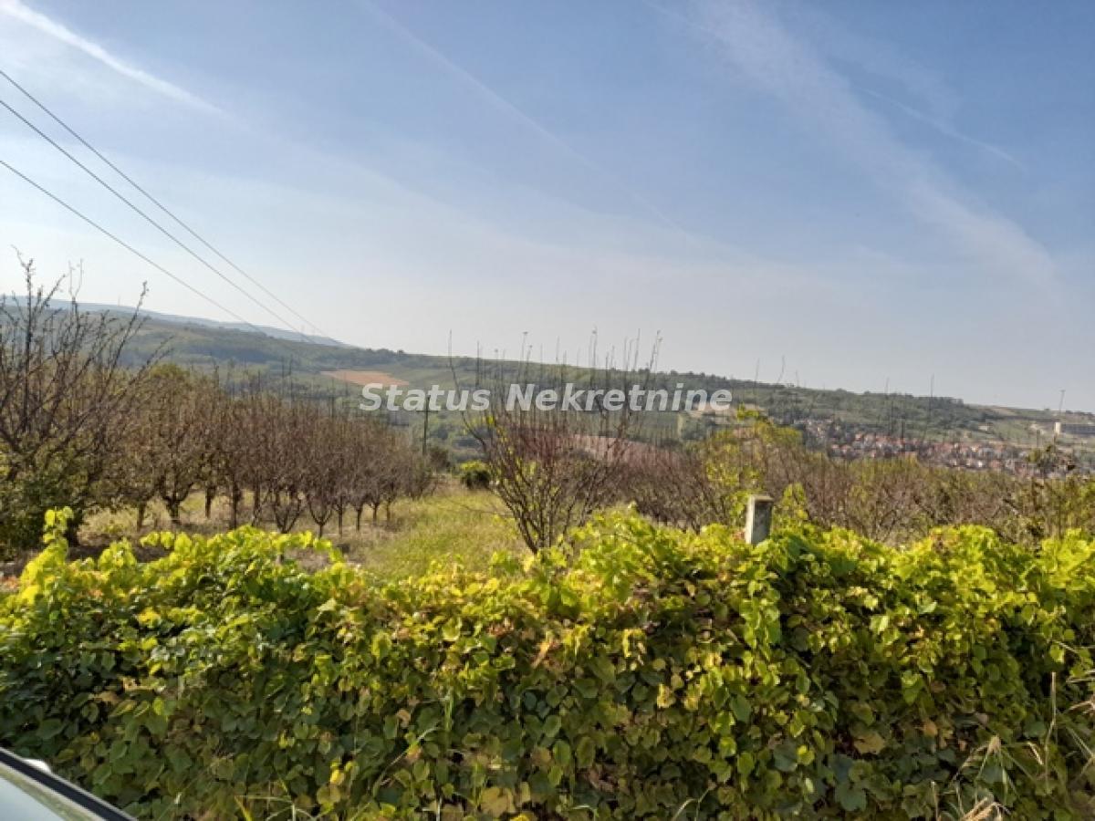 Plac Prodaja Sremski Karlovci Plac Prodaja Sremski Karlovci 0 m2