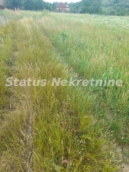 Plac Prodaja Beočin Plac Prodaja Beočin 0 m2