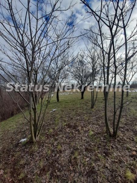 Plac Prodaja Inđija Plac Prodaja Inđija 0 m2