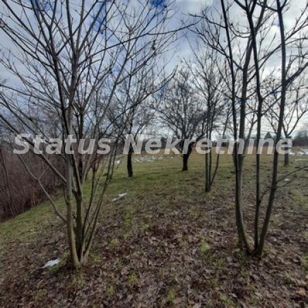 Plac Prodaja Inđija  0 m2