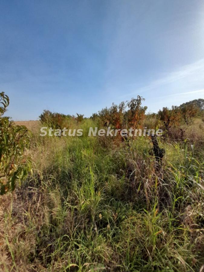 Plac Prodaja Sremski Karlovci Plac Prodaja Sremski Karlovci 0 m2