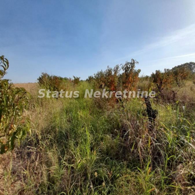 Plac Prodaja Sremski Karlovci  0 m2