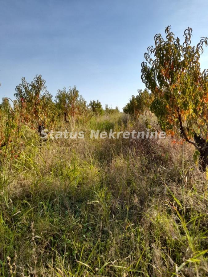 Plac Prodaja Sremski Karlovci Plac Prodaja Sremski Karlovci 0 m2