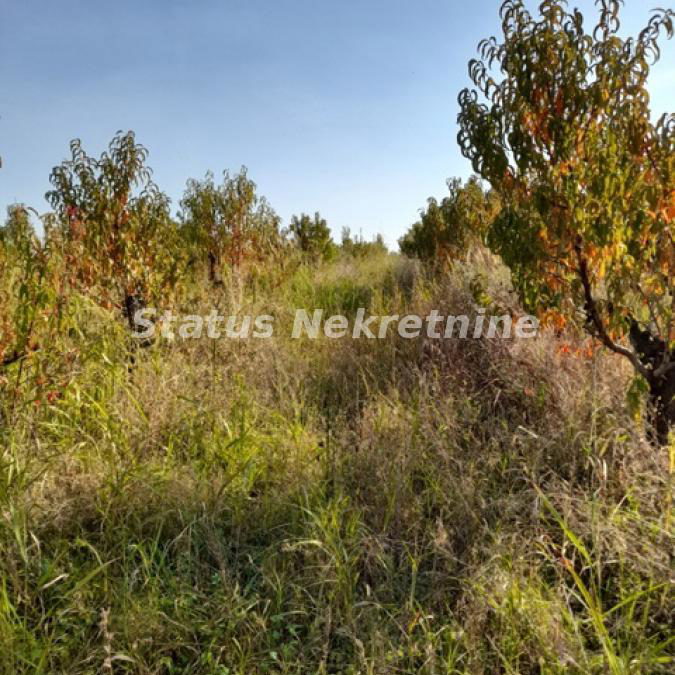 Plac Prodaja Sremski Karlovci  0 m2