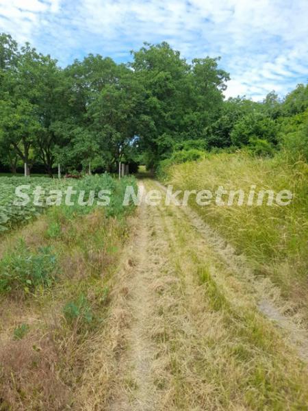 Plac Prodaja Inđija Plac Prodaja Inđija 0 m2