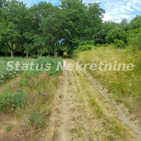 Plac Prodaja Inđija  0 m2