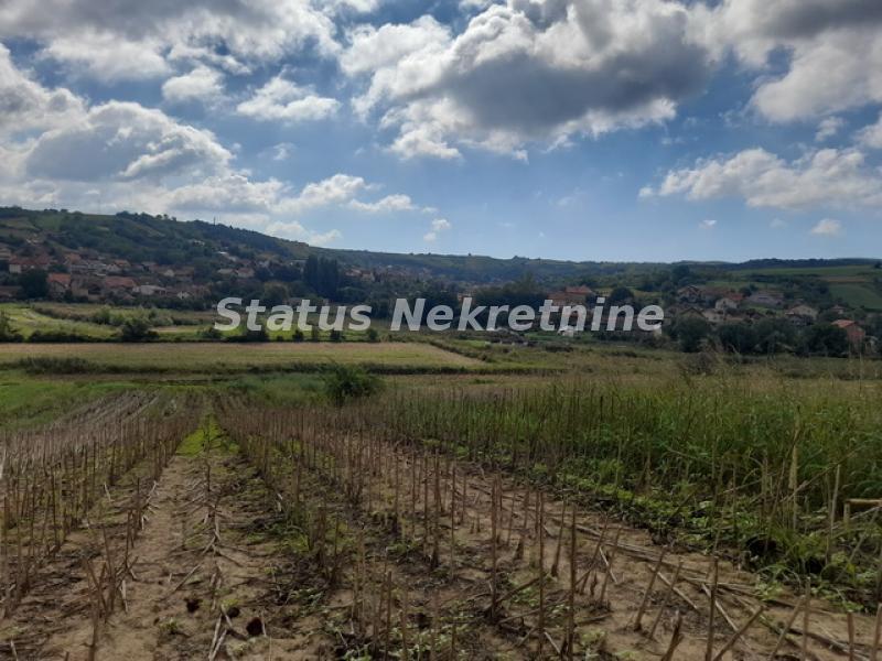 Plac Prodaja Novi Sad Plac Prodaja Novi Sad 0 m2