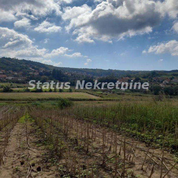 Plac Prodaja Novi Sad  0 m2