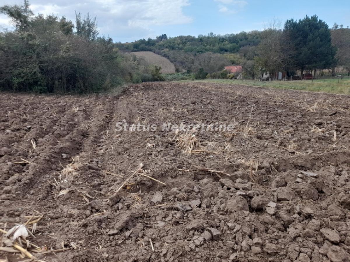Plac Prodaja Irig Plac Prodaja Irig 0 m2