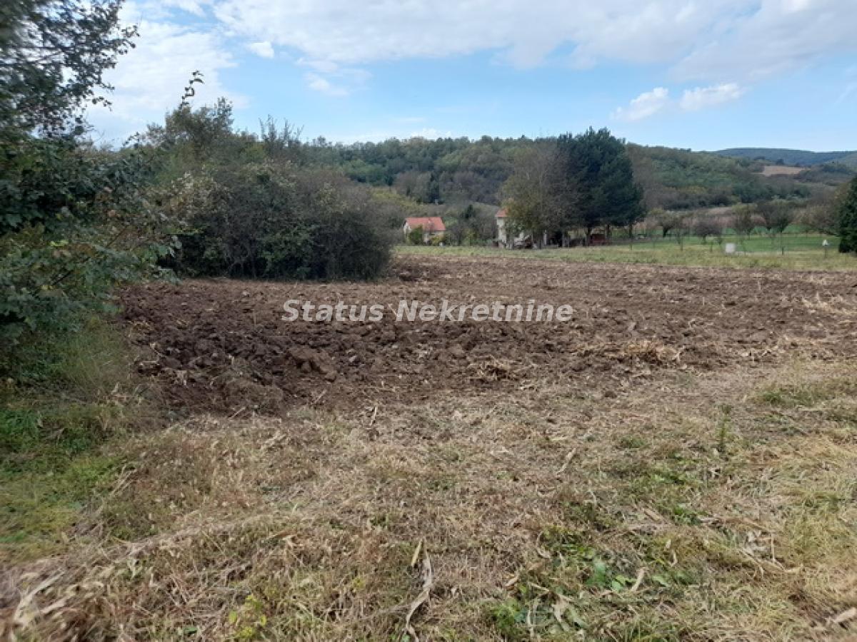 Plac Prodaja Irig Plac Prodaja Irig 0 m2