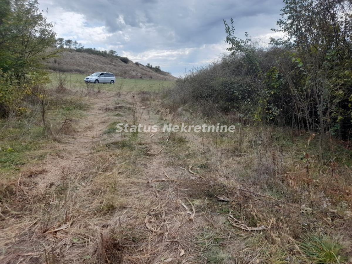 Plac Prodaja Irig Plac Prodaja Irig 0 m2