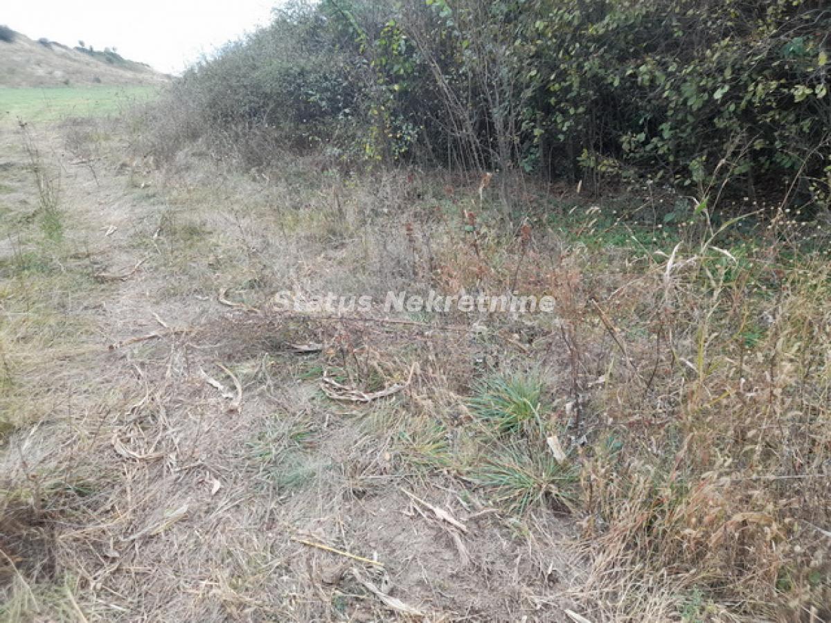 Plac Prodaja Irig Plac Prodaja Irig 0 m2