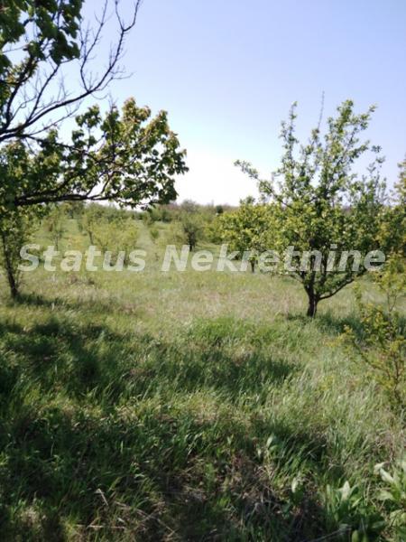 Plac Prodaja Novi Sad Plac Prodaja Novi Sad 0 m2