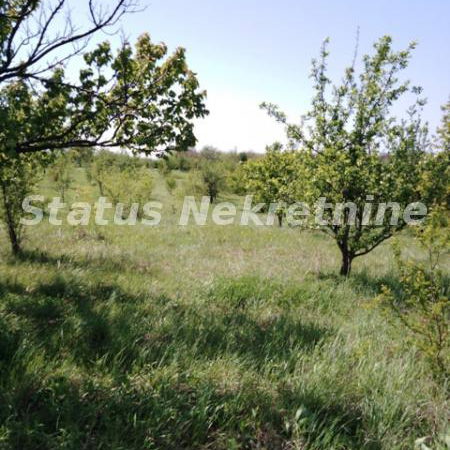 Plac Prodaja Novi Sad  0 m2