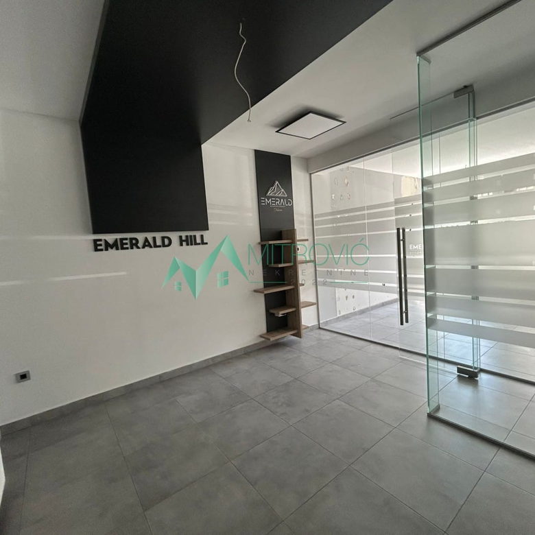 Lokal Prodaja Novi Sad  290 m2