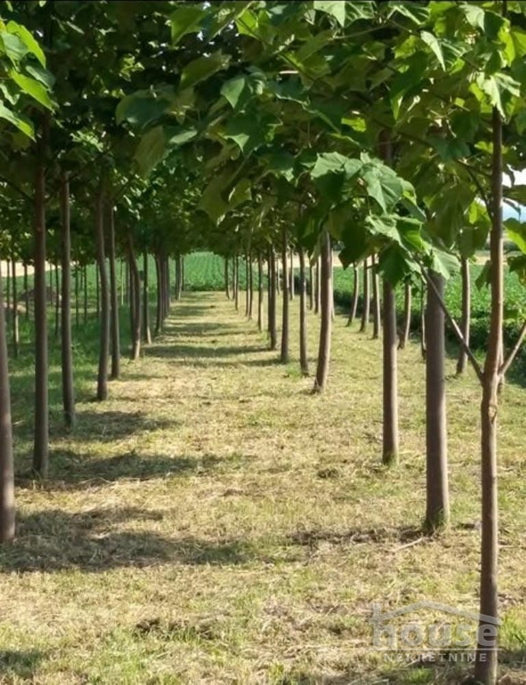 Kuća Prodaja Novi Sad Kuća Prodaja Novi Sad 60 m2