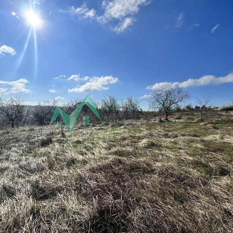 Plac Prodaja Sremski Karlovci  8048 m2