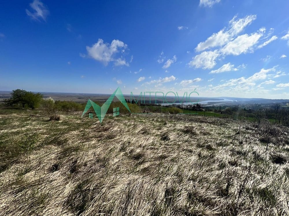 Plac Prodaja Sremski Karlovci Plac Prodaja Sremski Karlovci 8048 m2