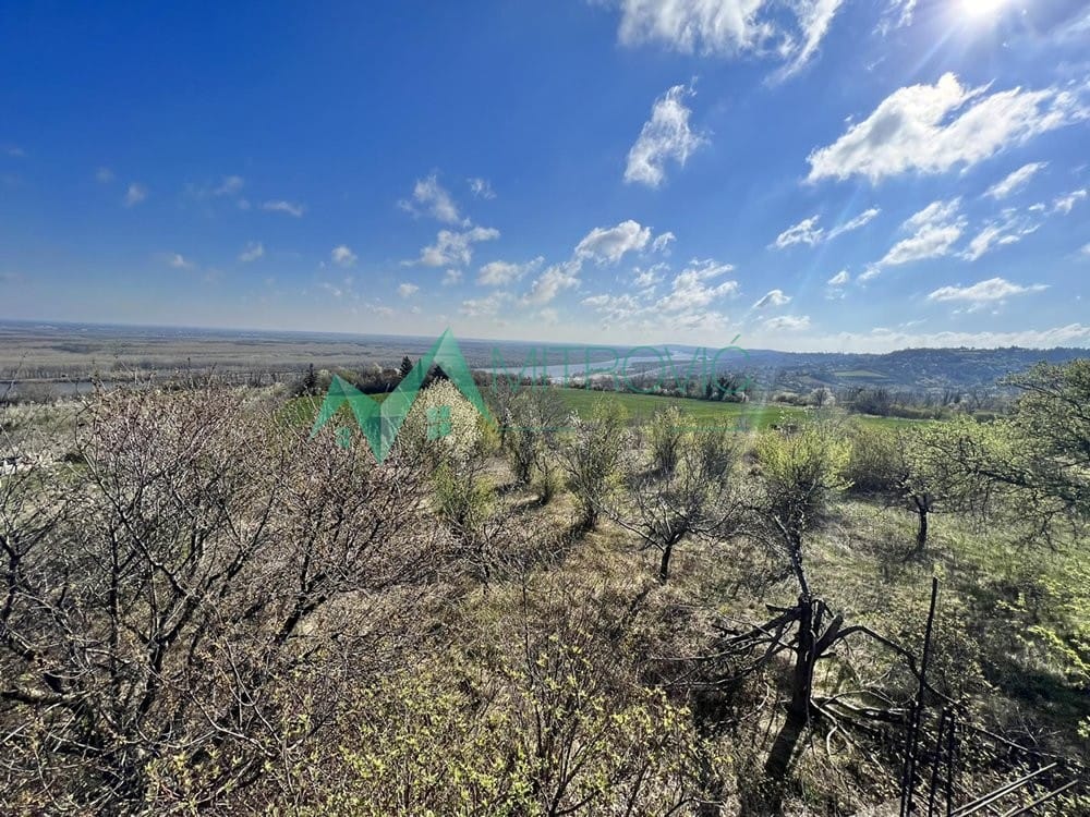 Plac Prodaja Sremski Karlovci Plac Prodaja Sremski Karlovci 8048 m2