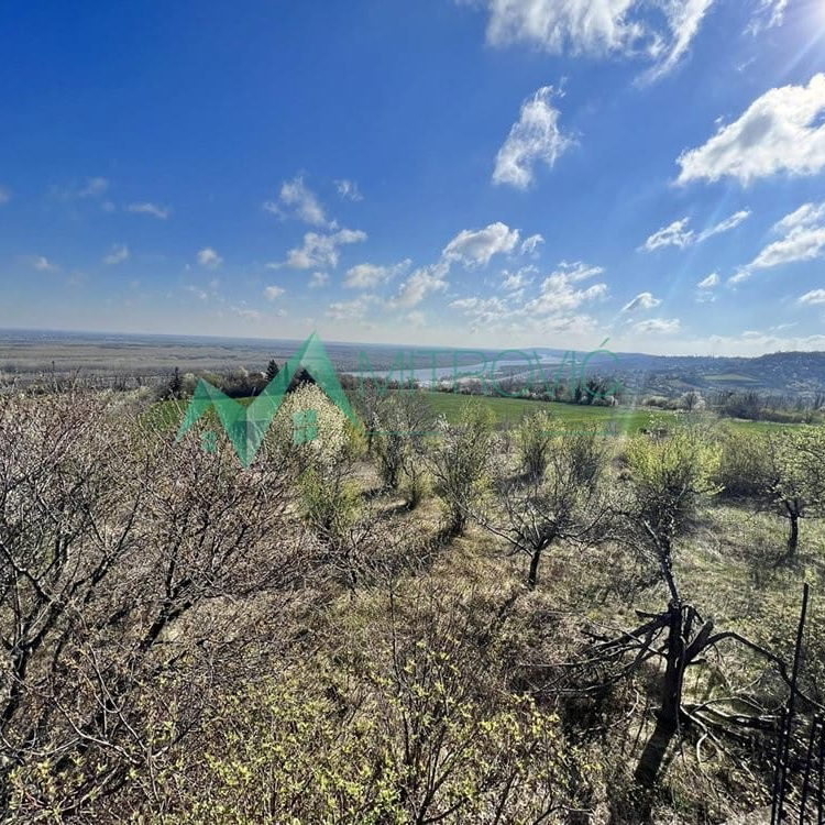 Plac Prodaja Sremski Karlovci  8048 m2